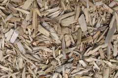 biomass boilers Oakridge Lynch