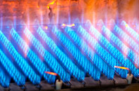 Oakridge Lynch gas fired boilers